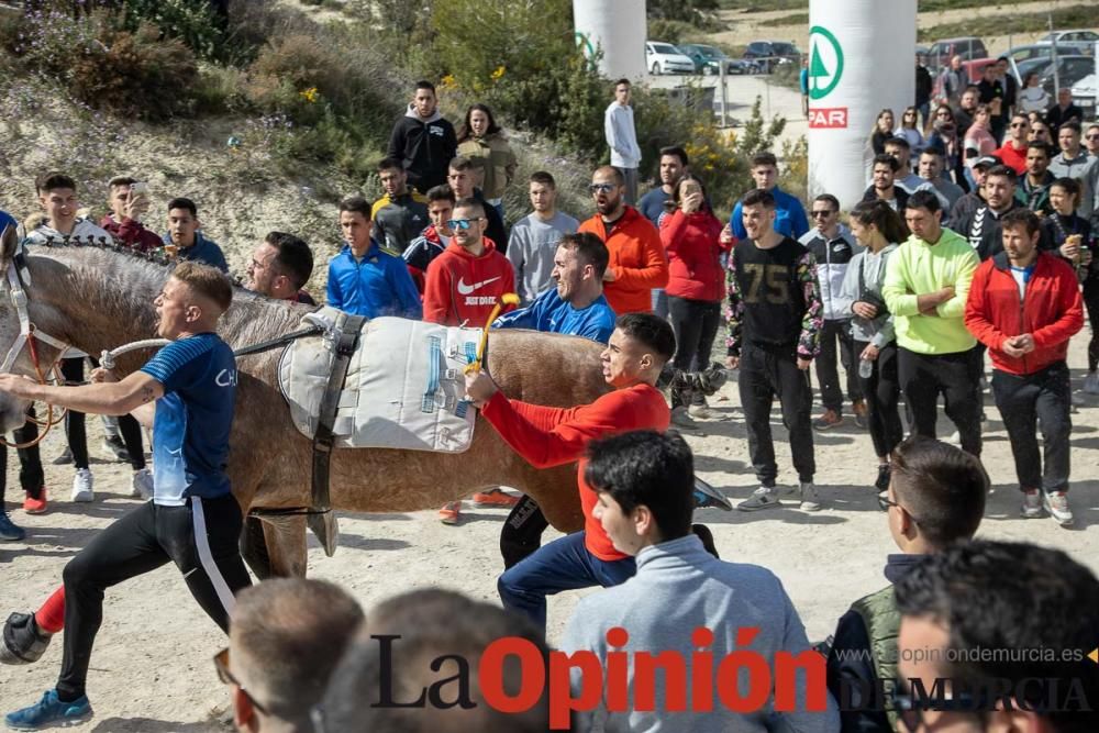 Carrera de entrenamiento de los Caballos del Vino