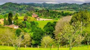 Prados en el concejo de Cabranes, Asturias, España
