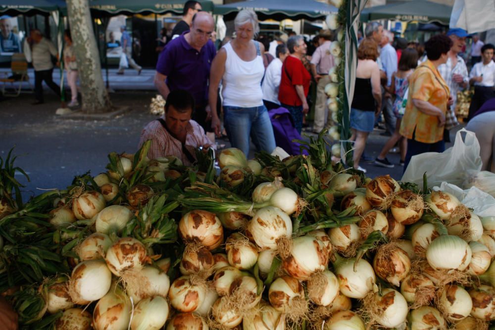 San Pedro 2016: Feria del Ajo