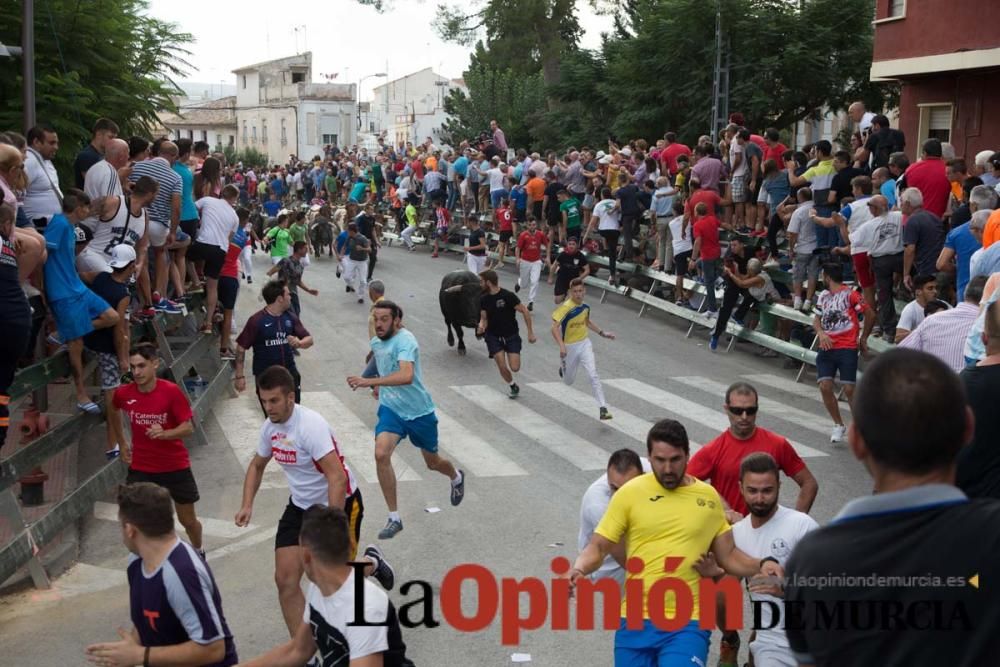 Quinto encierro en Calasparra