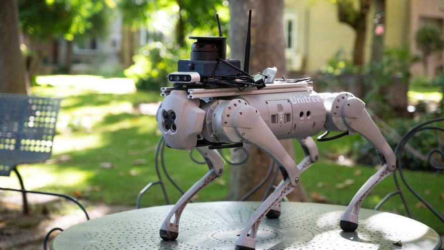 Tefi, el perro robótico creado para ayudar a personas dependientes o con discapacidad