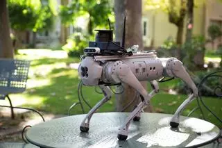 Tefi, el perro robótico creado para ayudar a personas dependientes o con discapacidad