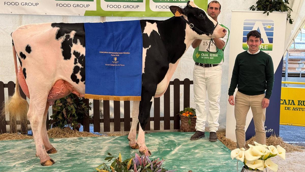 La vaca gran campeona, "Lambda Margarita", en la edición de 2025.
