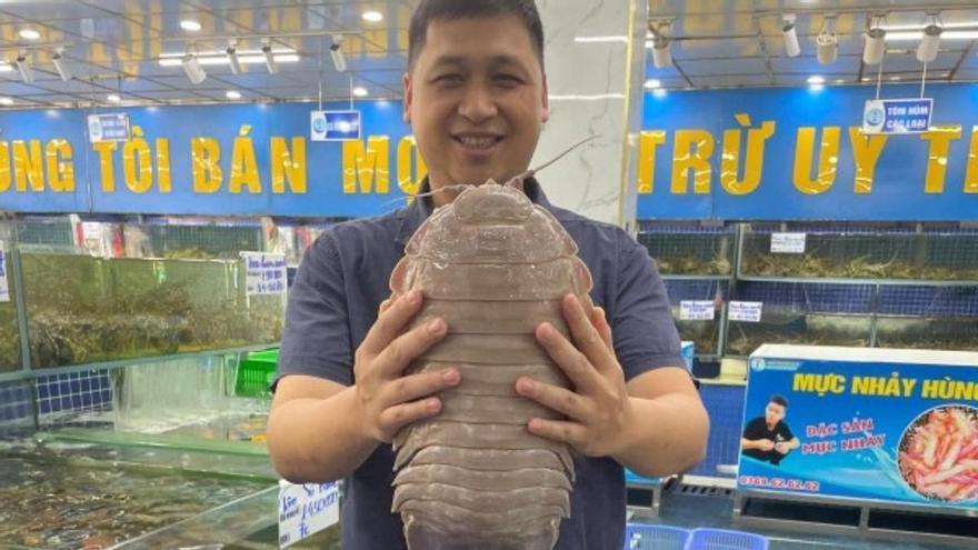Descubren un crustáceo gigante capaz de permanecer