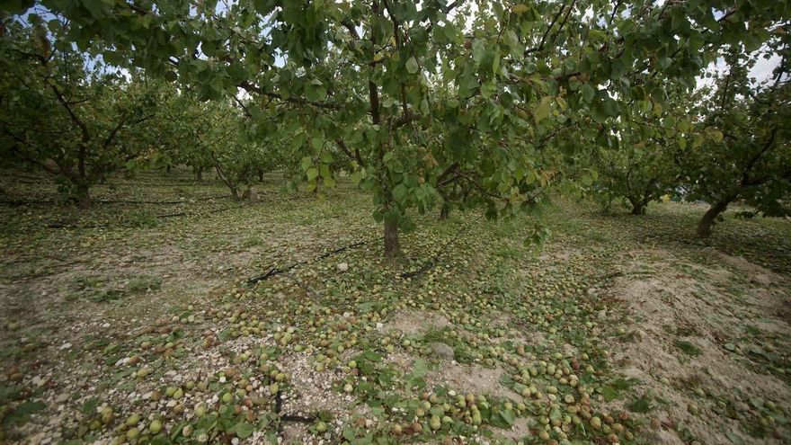 Cajamar habilita una línea de 40 millones para los afectados por los daños meteorológicos