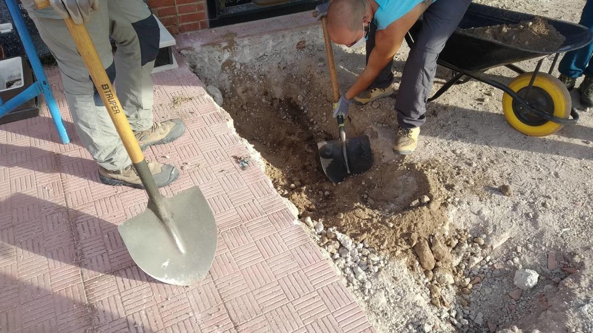 La búsqueda de la fosa de los represaliados del franquismo continúa en el Cementerio de Monóvar