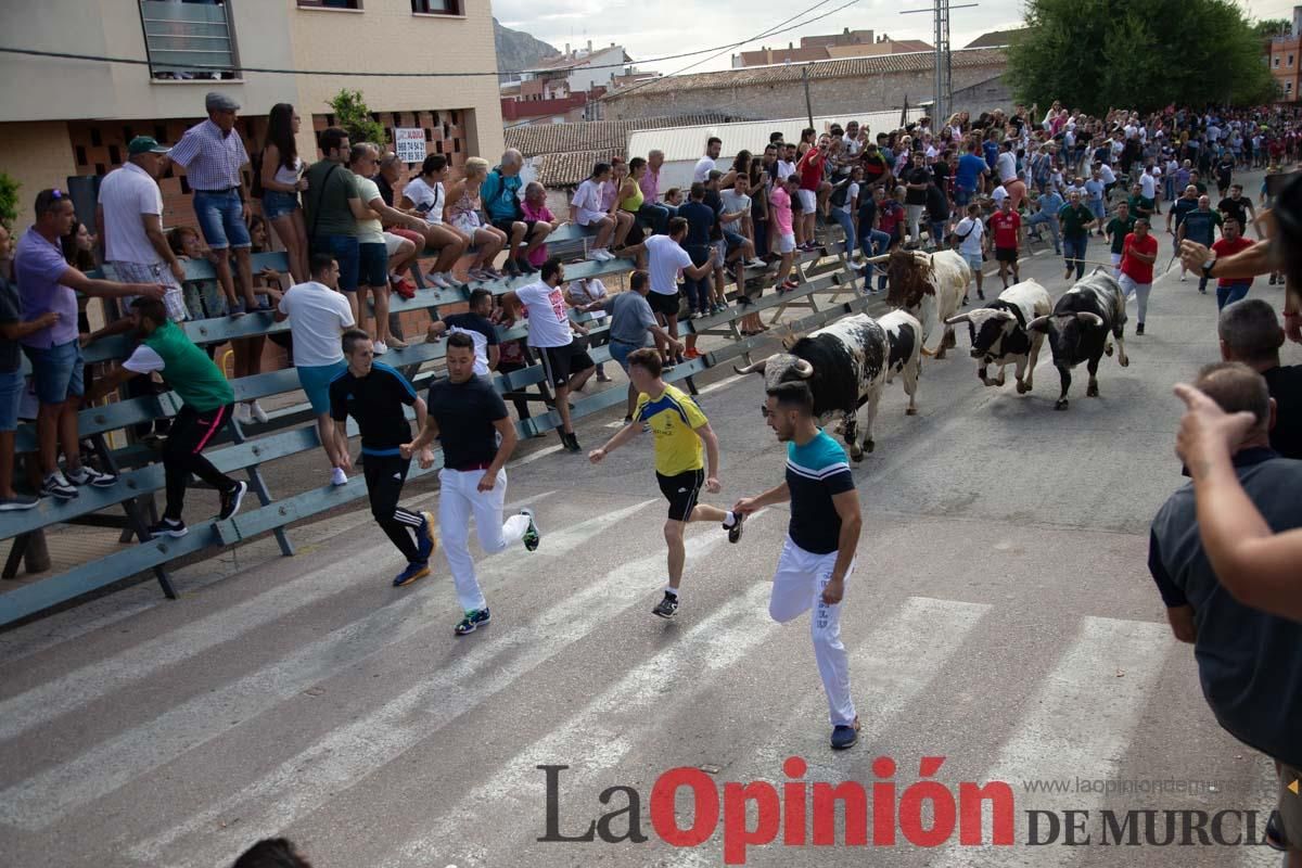 Primer encierro de la Feria del Arroz de Calasparra