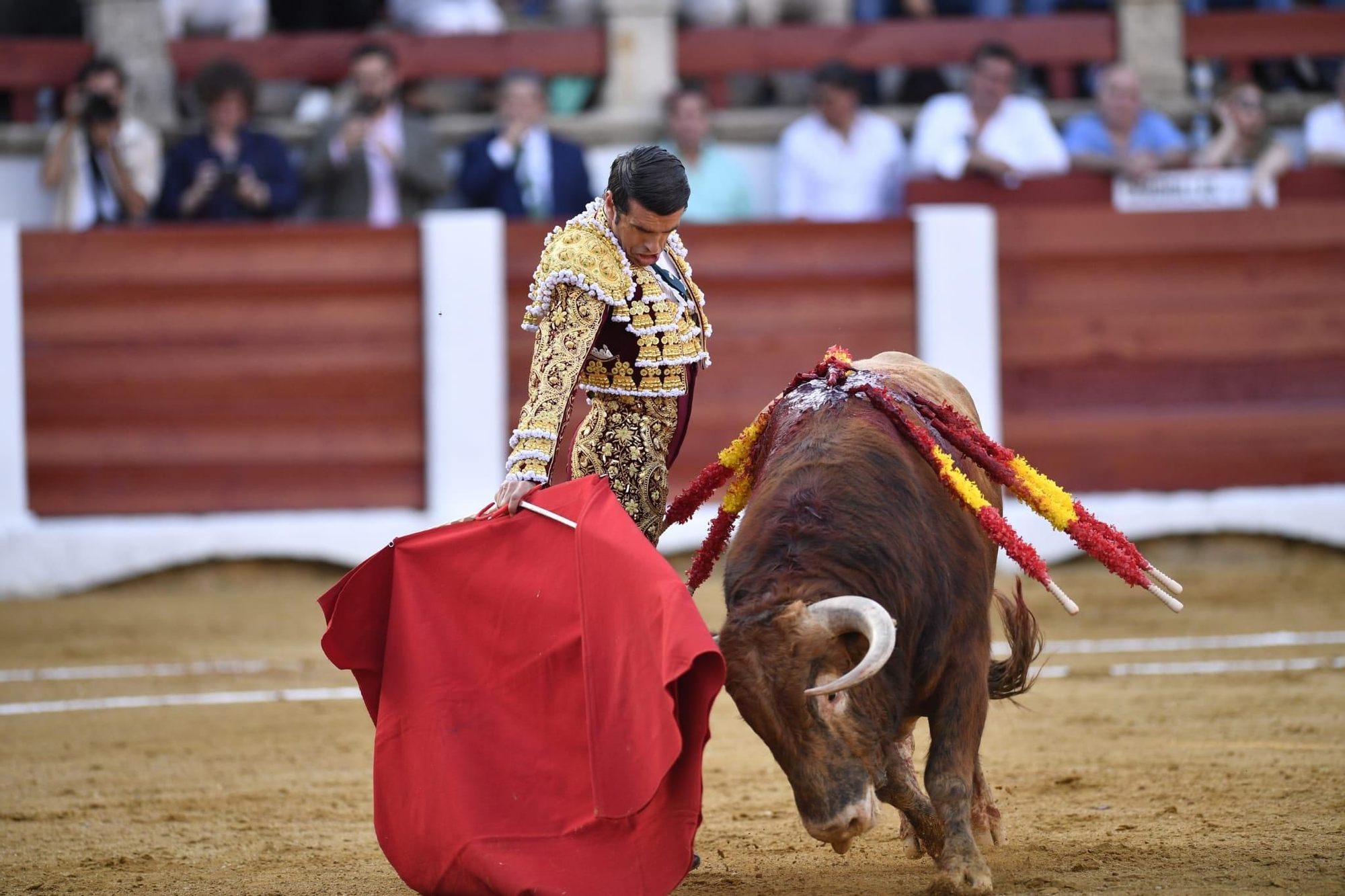 Fotogalería | Los momentos de triunfo de Emilio de Justo en Cáceres