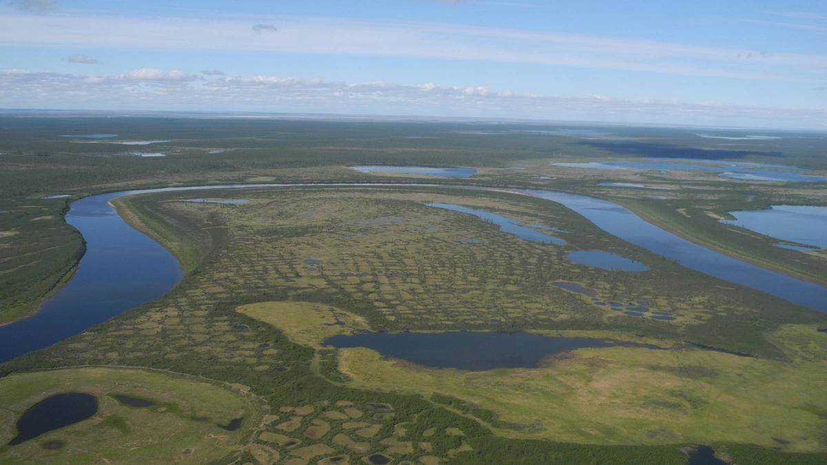 Tundra siberiana