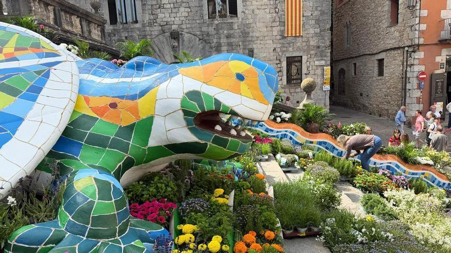 Girona se prepara para una nueva edición de Temps de Flors que se extiende a 113 espacios de la ciudad