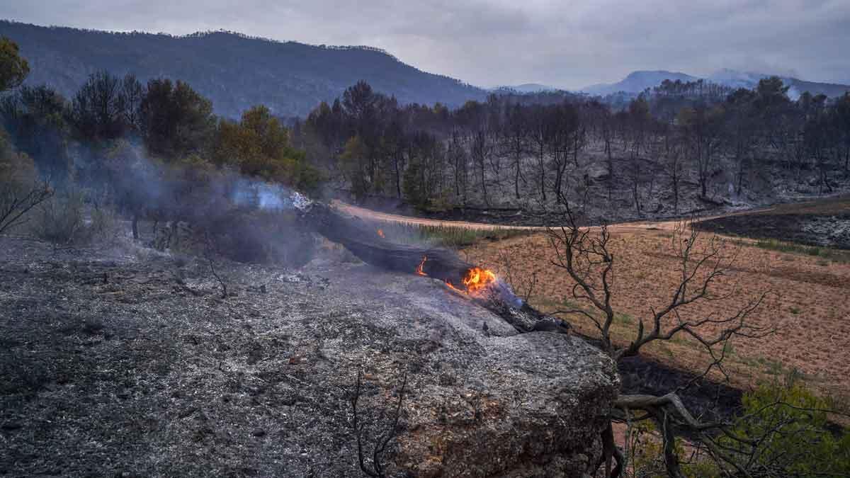 El incendio de Santa Coloma de Queralt