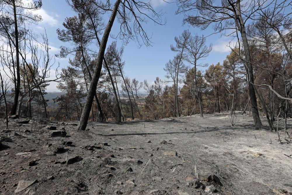 Incendi a Artés