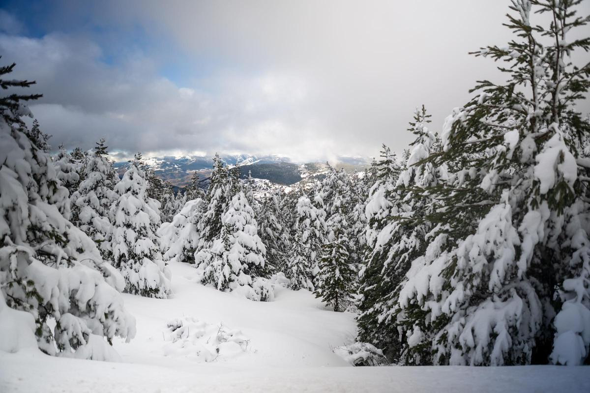 La zona de fora pistes de La Molina, amb un gruix de neu notable