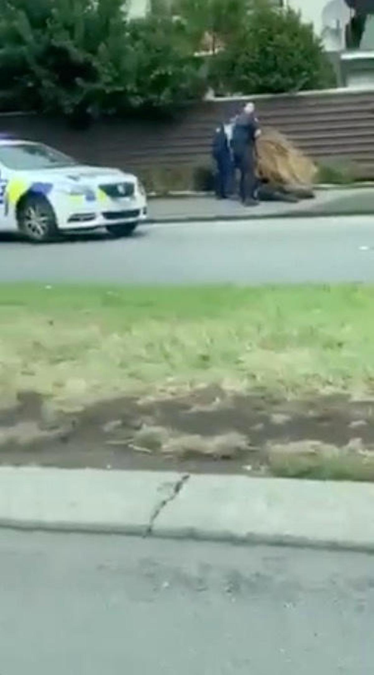 Atac terrorista a dues mesquites de Nova Zelanda