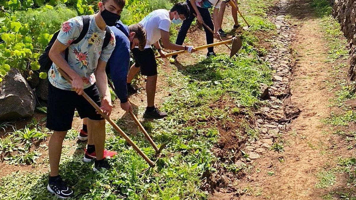 Un grupo de jóvenes trabaja en la mejora del Camino Callejón Grande, en el barrio tacorontero de San Jerónimo. | | E.D.