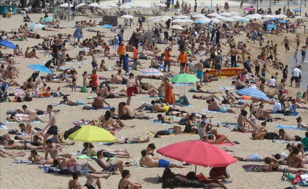 zentauroepp53753296 playa200614123449 zentauroepp53753296 playa200614123449