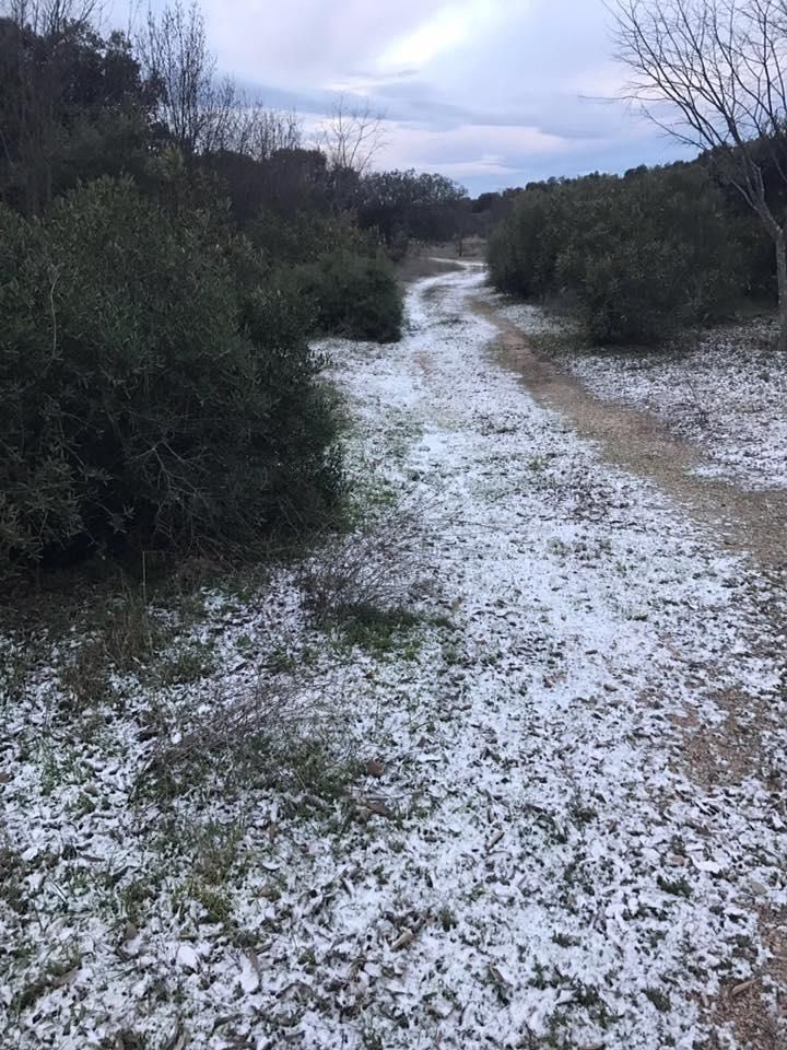 Fotogalería / La ola de frío polar alcanza Córdoba y provincia