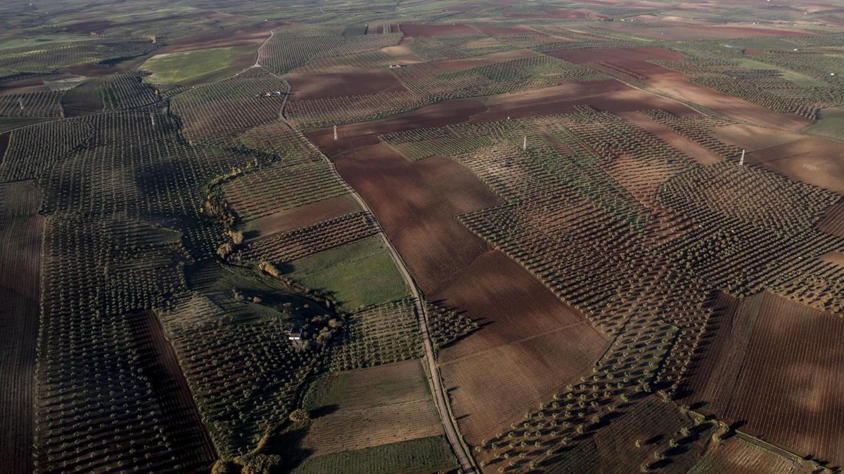 Imagen aérea de campos de cultivo en la comarca de Tierra de Barros.