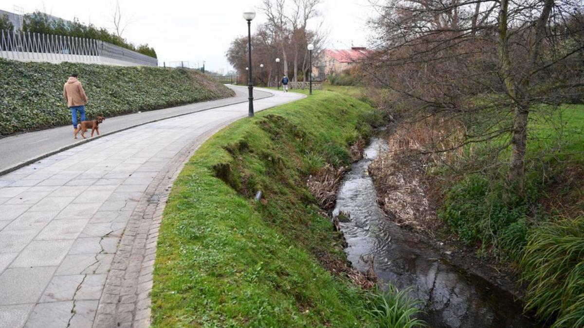 Tramo del río Bolaños, en Arteixo.   | // CARLOS PARDELLAS.