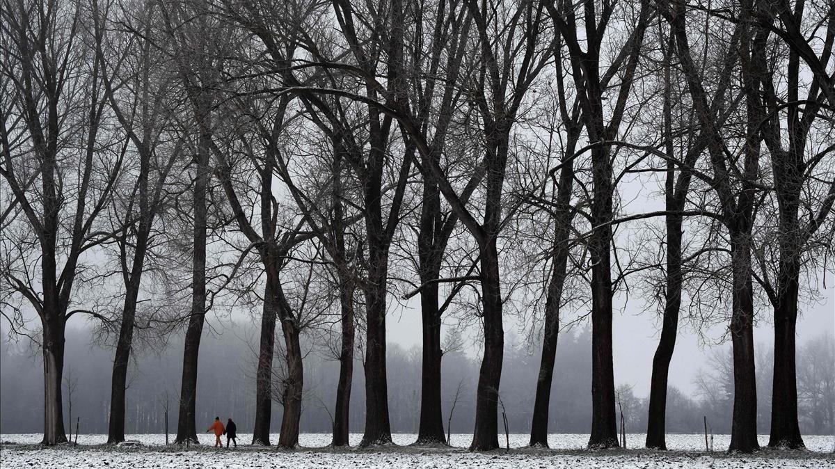 Paseo invernal entre los árboles y bajo cero, en el pequeño pueblo bávaro de Groebenzell en Alemania.