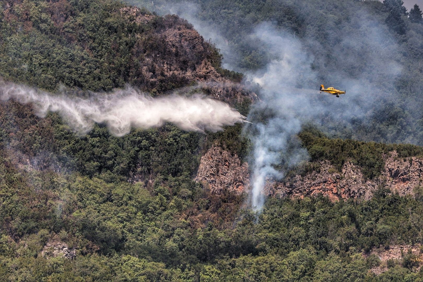 Labores de extinción del incendio en Tigaiga, Tenerife (26/07/2022)