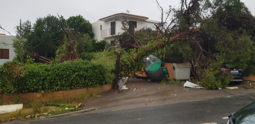 Temporal en Sant Antoni