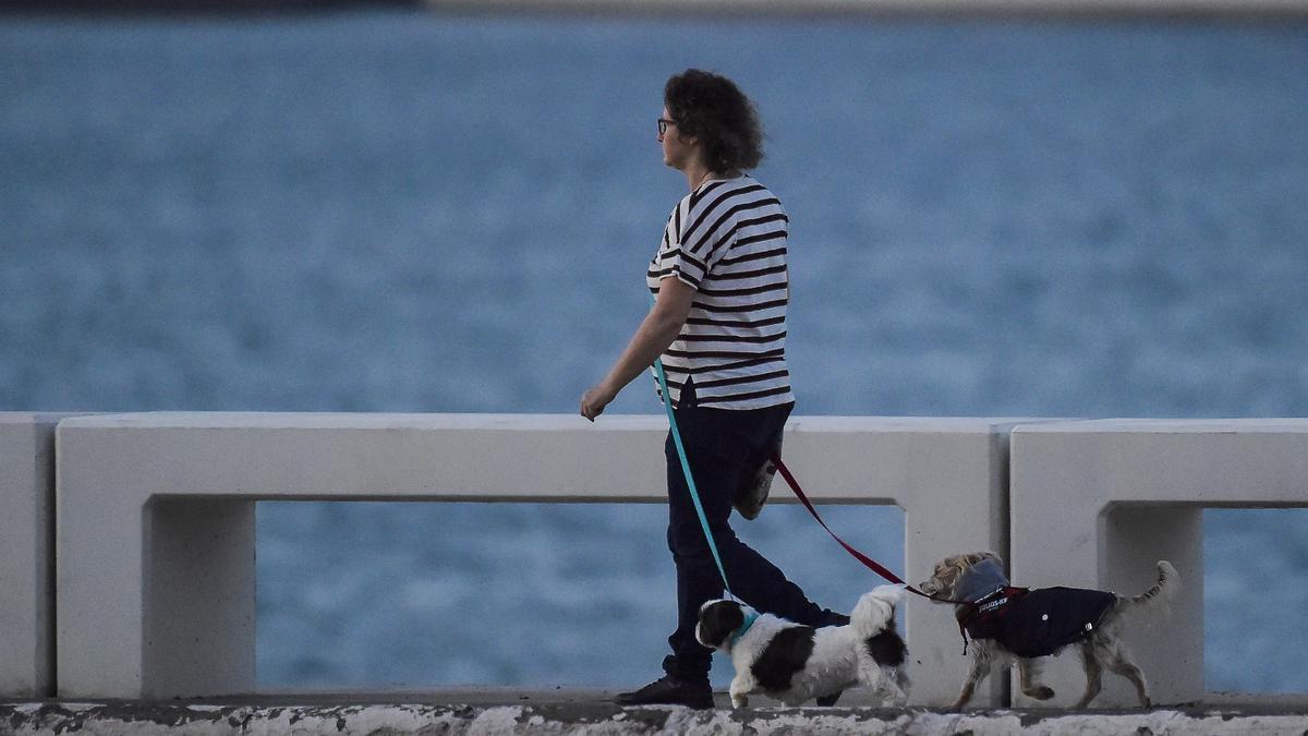 Una mujer pasea a sus perros por la Avenida Marítima de la capital grancanaria.