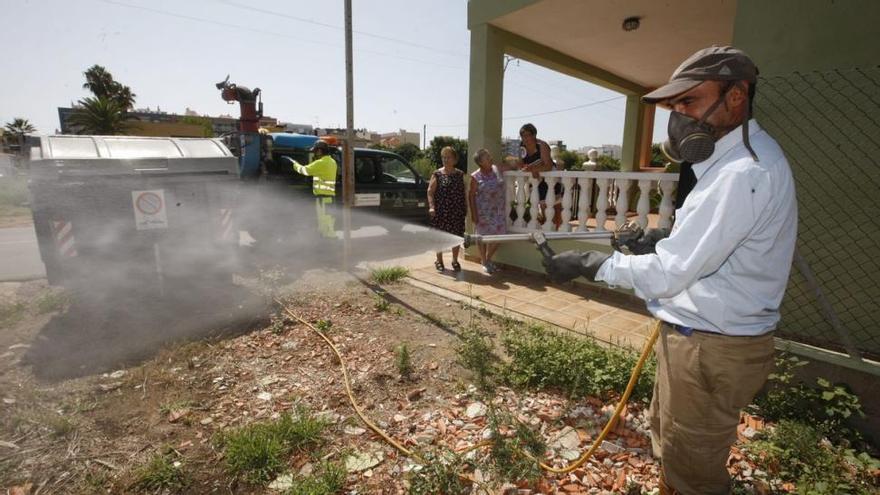 La ayuda antimosquitos del Consell no cubre la avalancha de peticiones