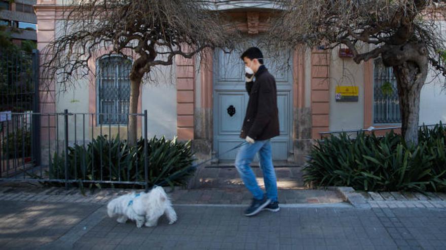 Aumentan las lesiones en los perros por el exceso de paseos