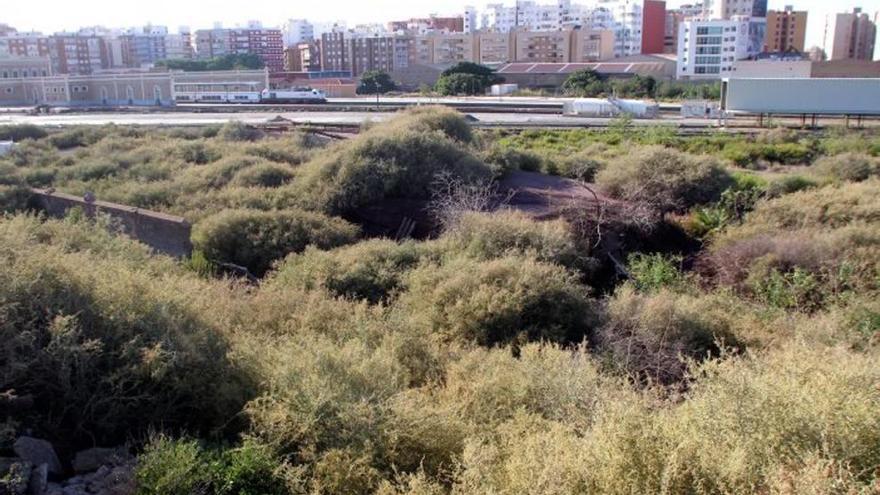 Terrenos del Hondón, en una imagen tomada ayer.