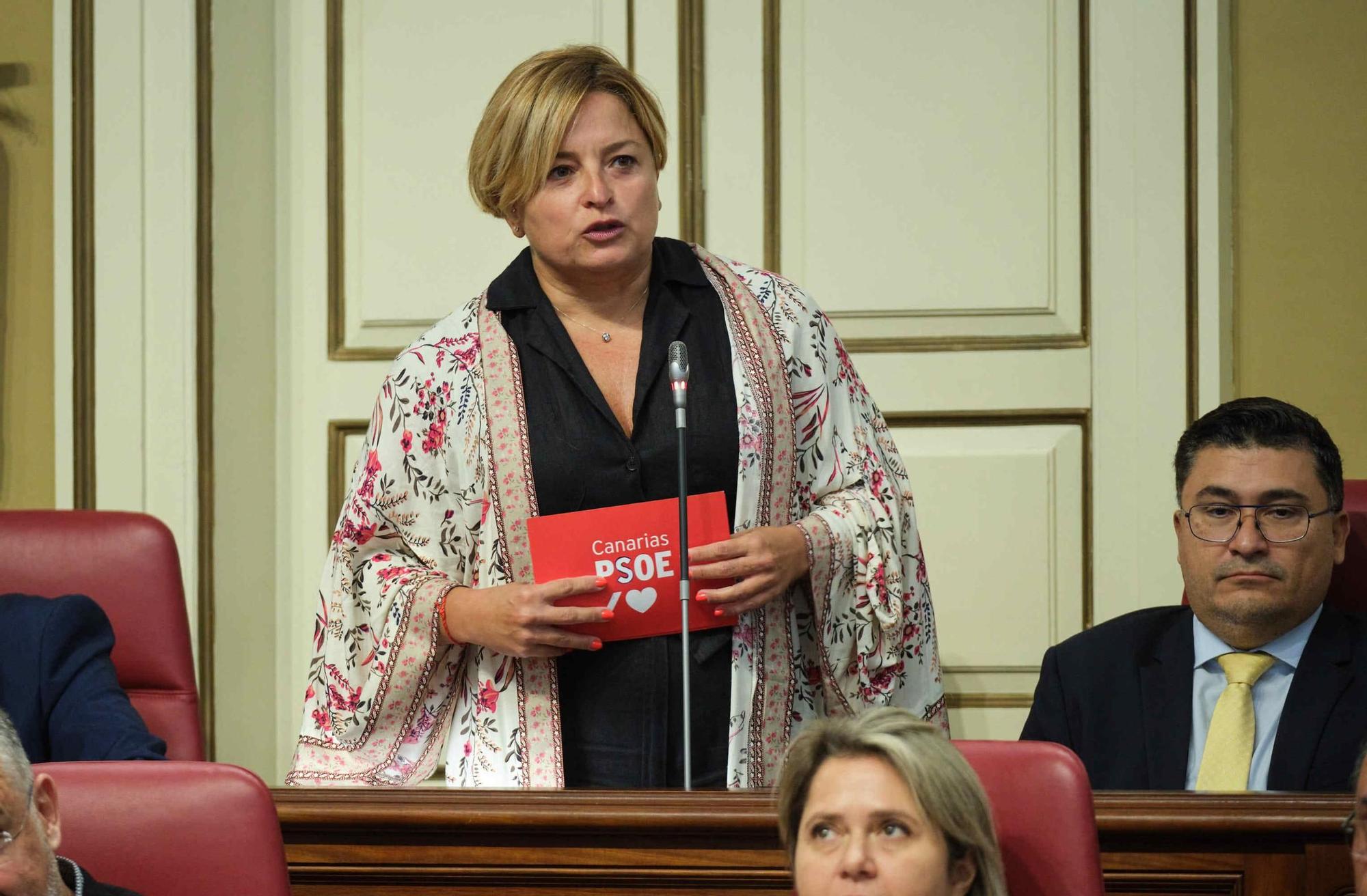 Pleno del Parlamento de Canarias (07/11/2023)