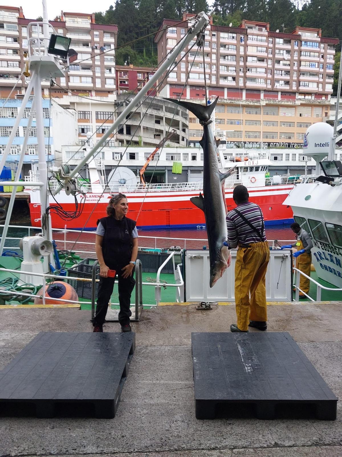 Luz Divina Rueda, presidenta de la Asociación Profesional de Inspectores de Pesca, en el control de una descarga de tiburón.