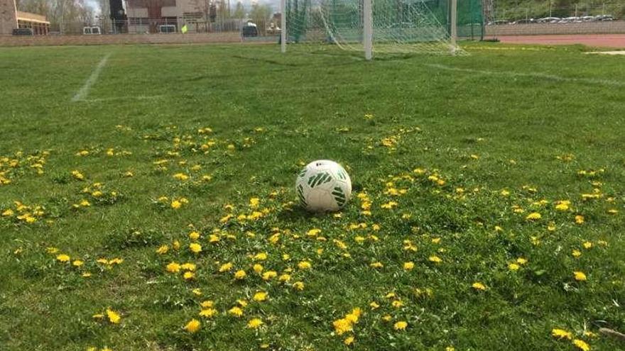 Detalle del terreno de juego.