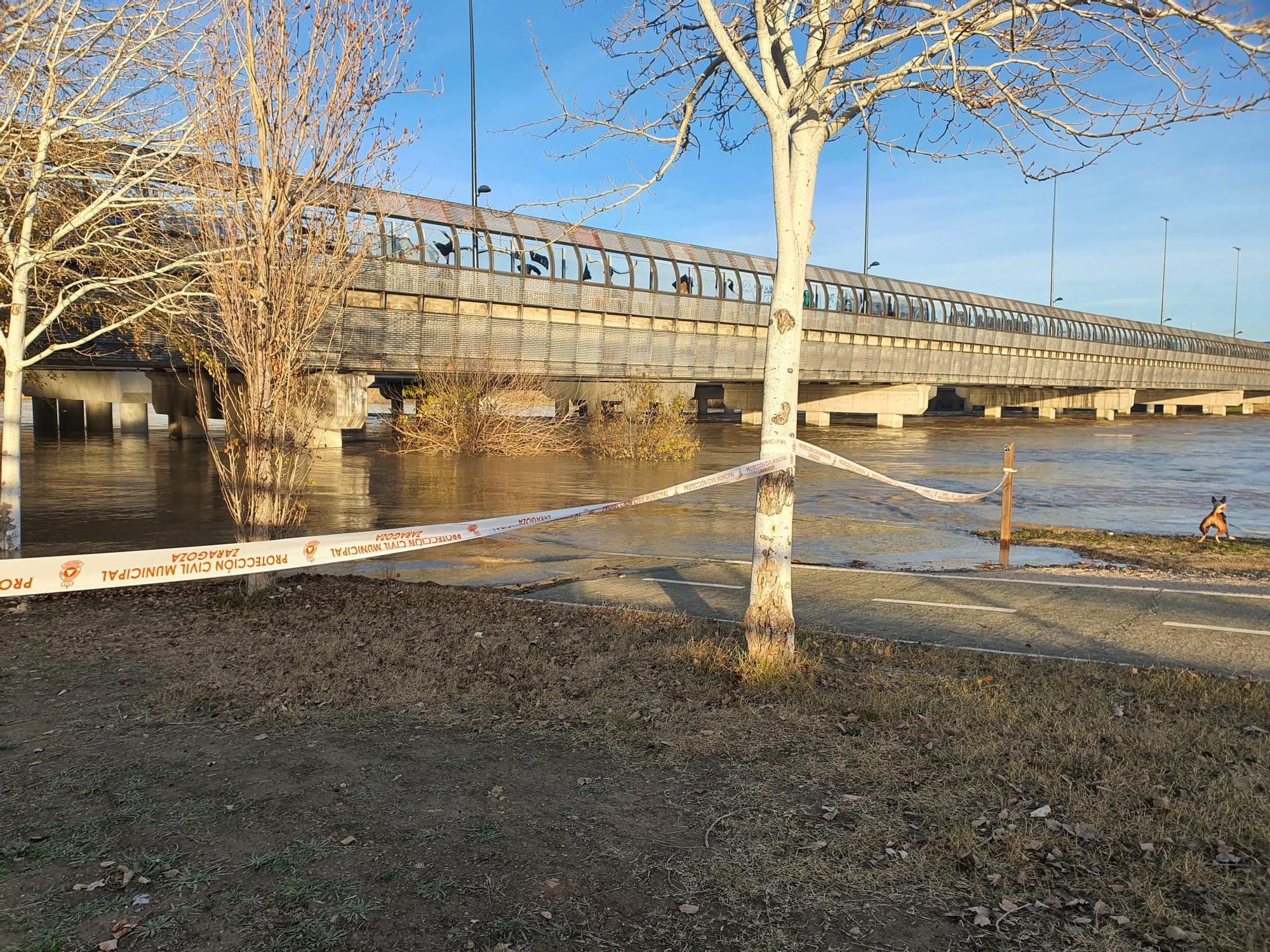 FOTOGALERÍA | El Ebro a su paso por Zaragoza -12 de diciembre de 2021