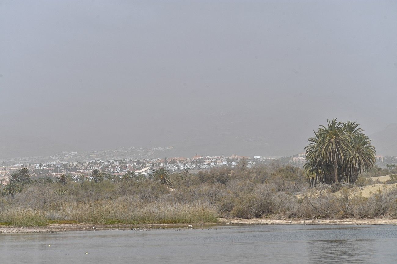 Calima en Las Palmas de Gran Canaria (17/03/2022)