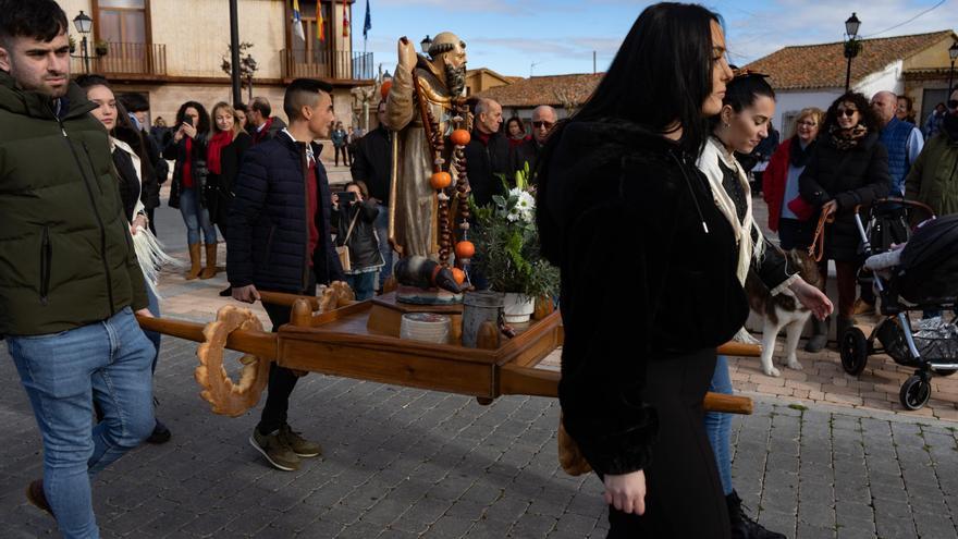 Monfarracinos se prepara para honrar a San Antonio Abad