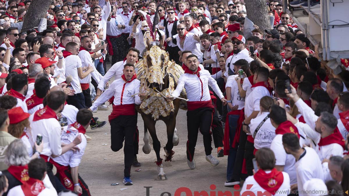Carrera de los Caballos del Vino