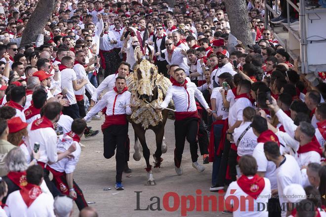 Así se ha vivido la carrera de Los Caballos del Vino en Caravaca