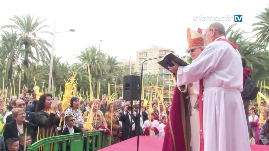 Domingo de Ramos en Elche: Miles de palmas blancas llenan la ciudad de tradición
