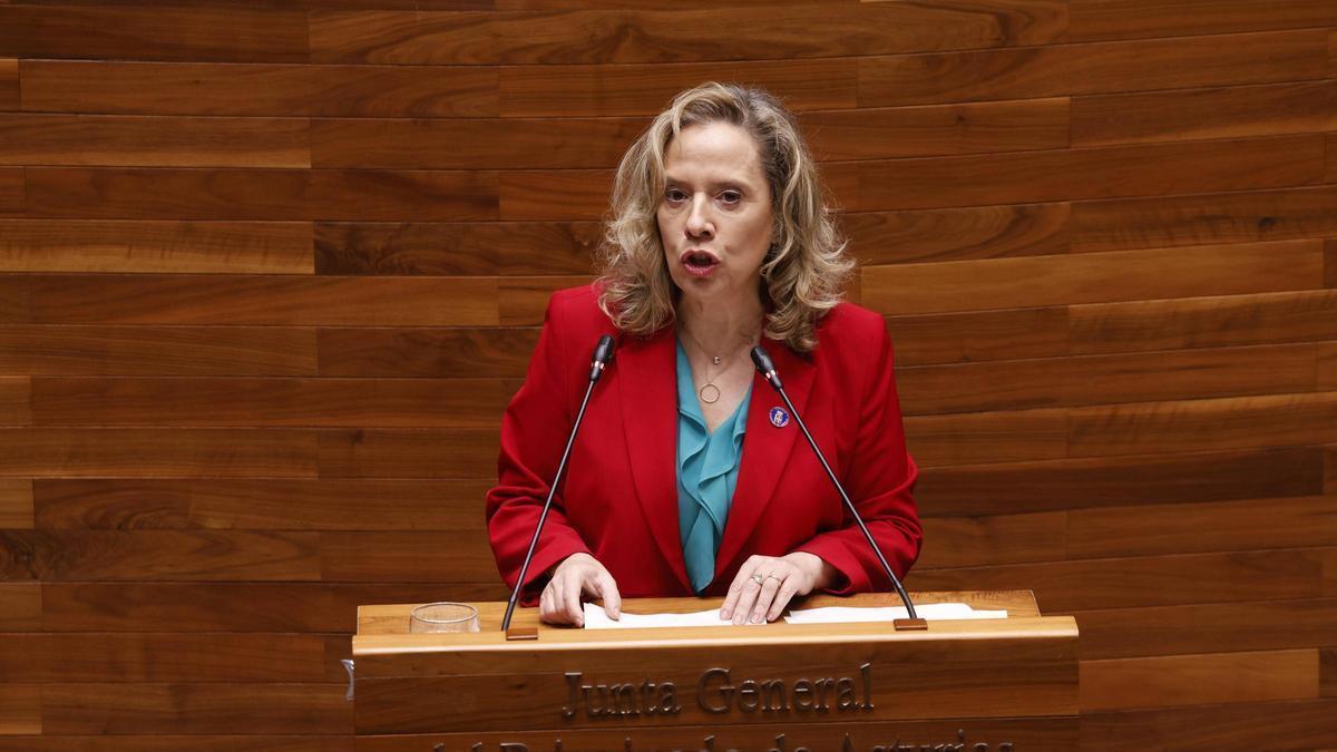 Belarmina Díaz, esta mañana en la Junta General del Principado