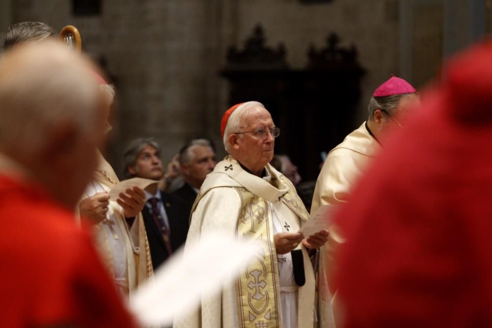 Tedeum en la Catedral de Valencia