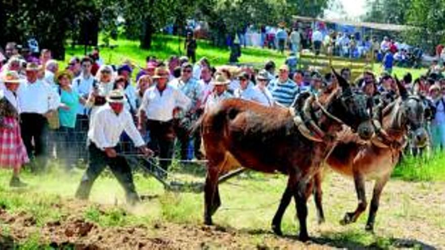 Muestran la vida en el campo