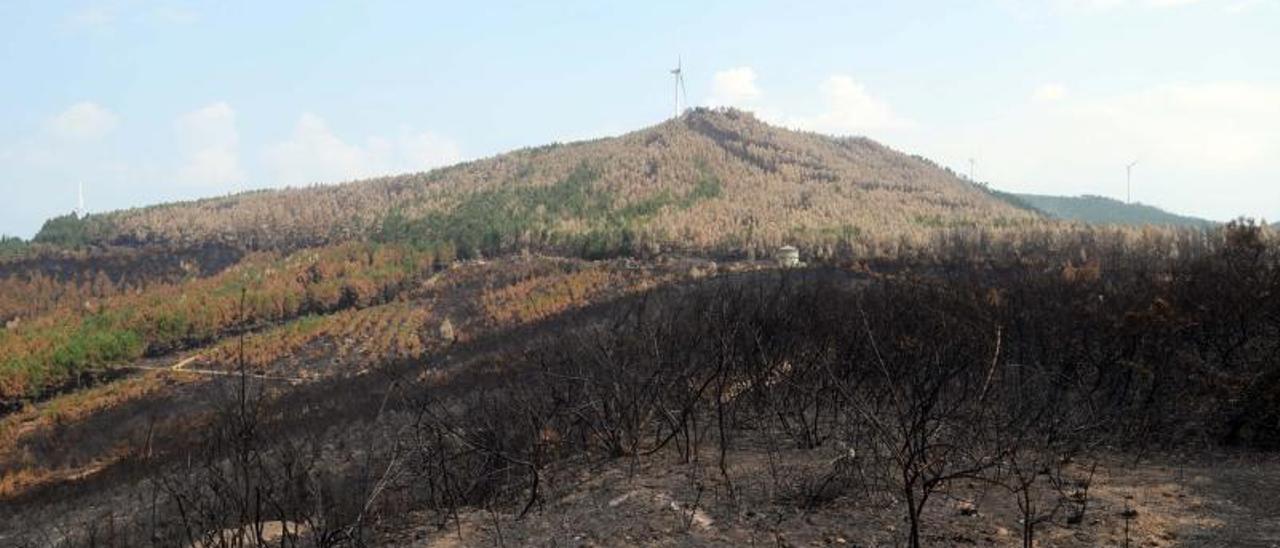 Vista de los terrenos quemados por el incendio que afectó en agosto a los montes de Caldas y Vilagarcía.   | // NOÉ PARGA