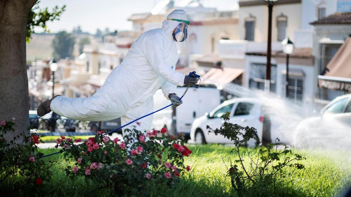 Un operario fumiga en La Puebla del Río.