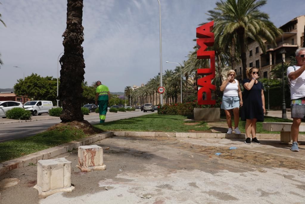 Muere un hombre al ser atropellado por un coche de la Policía Local en Palma