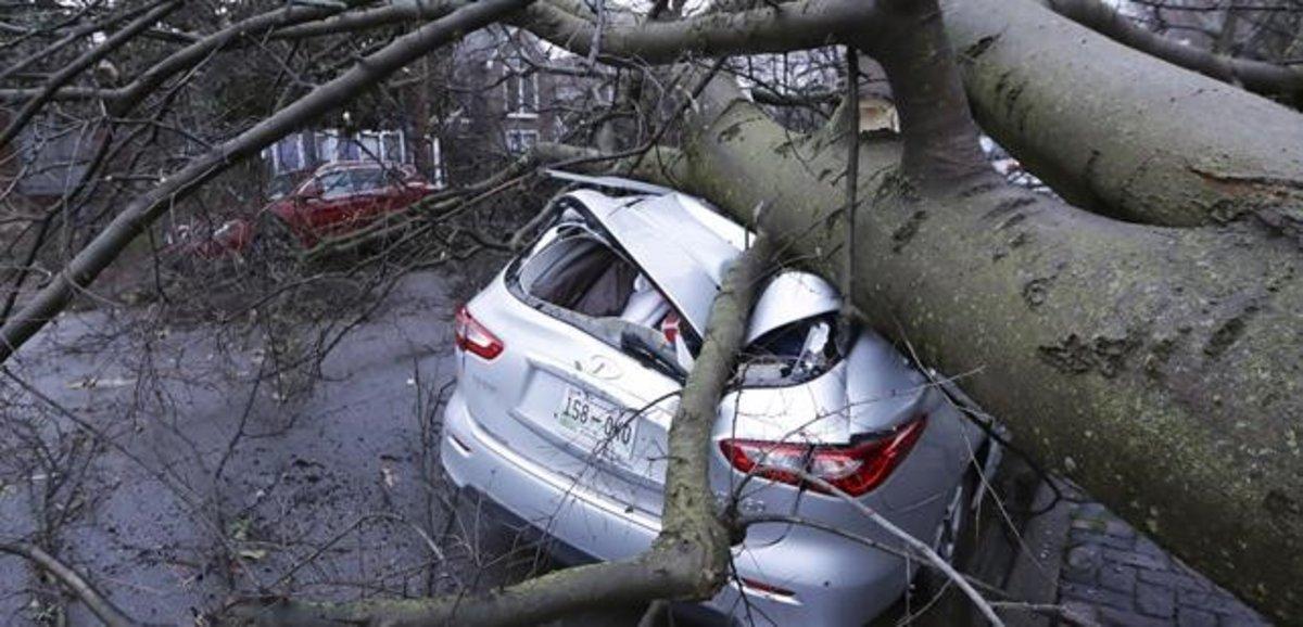 zentauroepp52607386 a car crushed by a tree sits on a street after a tornado tou200303143234