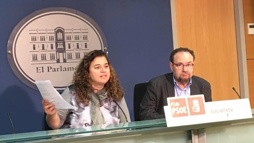 Pilar Costa y el diputado Damià Borrás, ayer en el Parlament.