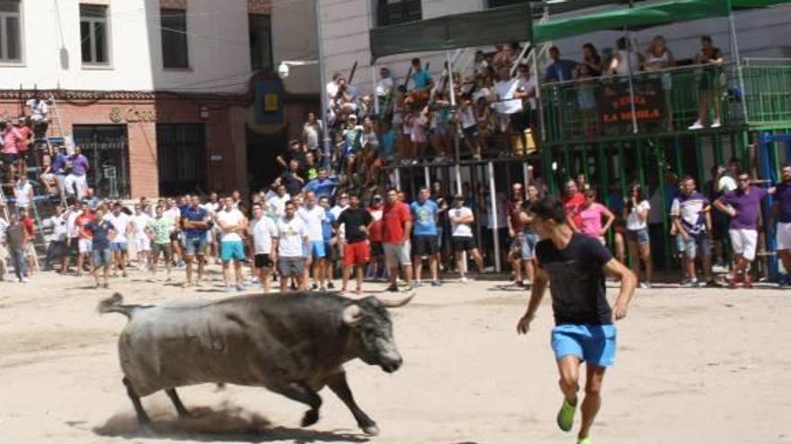 Los toros centran la programación festiva en Borriana