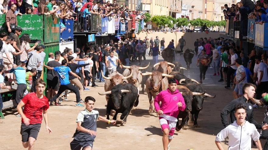 Vila-real introduce toros de hierro castellonense para las fiestas de septiembre