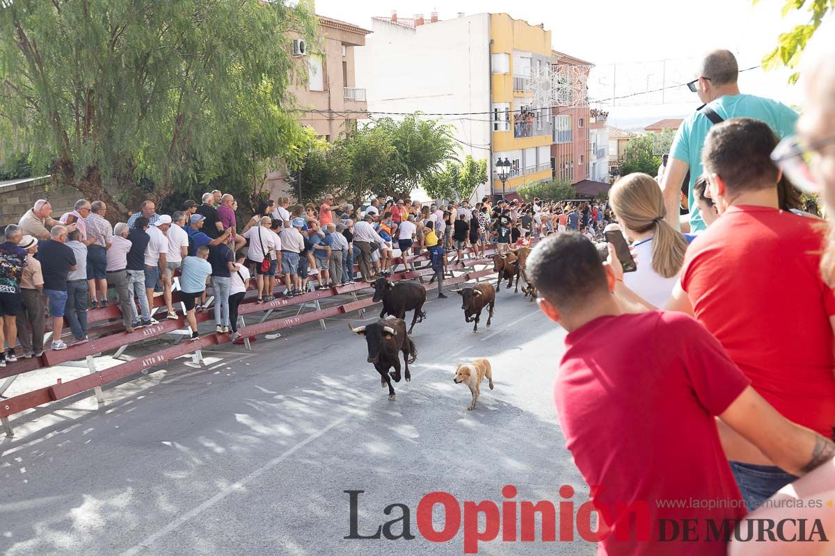 Séptimo encierro de las Fiestas de Moratalla